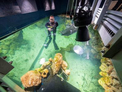 A keeper in a wetsuit and mask standing waist deep in a shallow aquarium of seagrass and rock, with grow lights hanging above