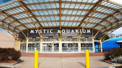 The entrance to Mystic Aquarium on a clear day