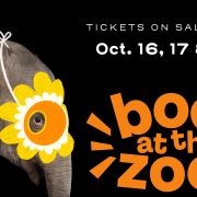 Promotional graphic for Boo at the Zoo showing an Asian elephant in profile against a black background wearing a yellow paper flower mask, beside the event wordmark and the dates October 16, 17 and 18.