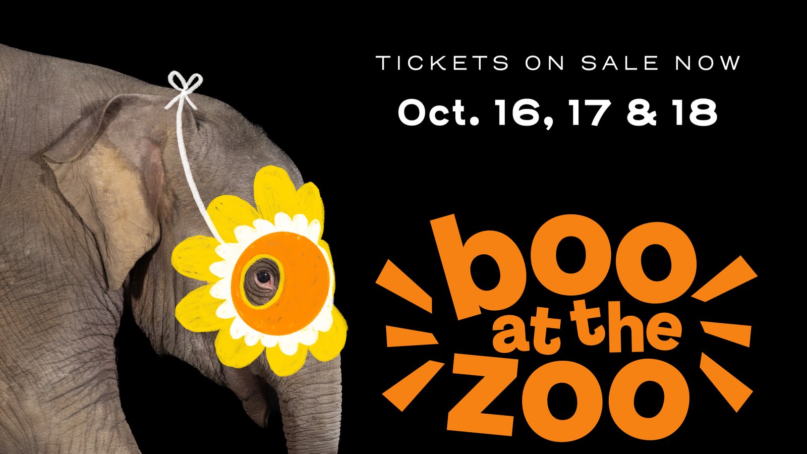 Promotional graphic for Boo at the Zoo showing an Asian elephant in profile against a black background wearing a yellow paper flower mask, beside the event wordmark and the dates October 16, 17 and 18.