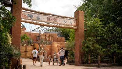 Visitors walk beneath a tall adobe-style gateway with a sign reading Desert, with cacti and planting on either side.