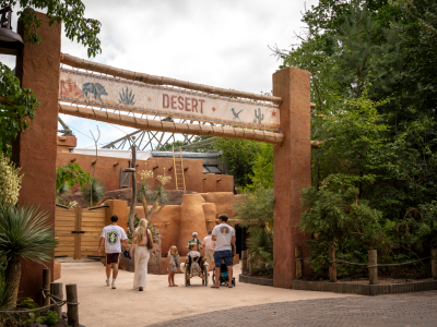 Visitors walk beneath a tall adobe-style gateway with a sign reading Desert, with cacti and planting on either side.