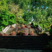 A broad stone staircase of several flights rises between stone balustrades at Pairi Daiza, its steps planted with beds of red and purple foliage, framed by mature green trees with the tower of Cambron Abbey visible at the upper right.