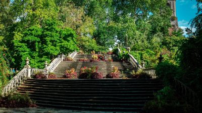 A broad stone staircase of several flights rises between stone balustrades at Pairi Daiza, its steps planted with beds of red and purple foliage, framed by mature green trees with the tower of Cambron Abbey visible at the upper right.