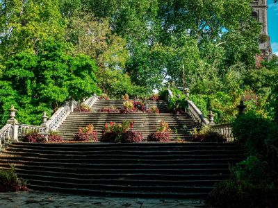 A broad stone staircase of several flights rises between stone balustrades at Pairi Daiza, its steps planted with beds of red and purple foliage, framed by mature green trees with the tower of Cambron Abbey visible at the upper right.