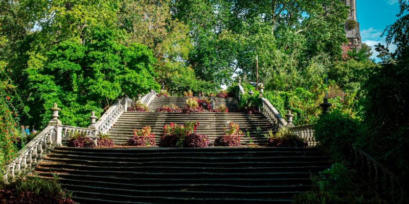 A broad stone staircase of several flights rises between stone balustrades at Pairi Daiza, its steps planted with beds of red and purple foliage, framed by mature green trees with the tower of Cambron Abbey visible at the upper right.