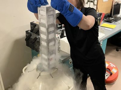 A researcher in heavy blue cryogenic gloves lifts a tall rack of labeled sample canes out of a liquid nitrogen storage tank in a laboratory, with white vapor pouring down over the tank and across the floor.