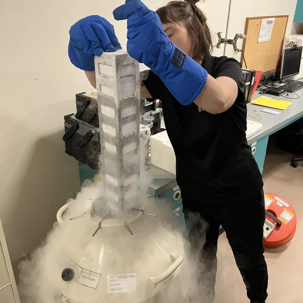 A researcher in heavy blue cryogenic gloves lifts a tall rack of labeled sample canes out of a liquid nitrogen storage tank in a laboratory, with white vapor pouring down over the tank and across the floor.