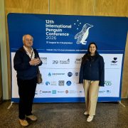 A man and a woman stand either side of a large blue banner reading 12th International Penguin Conference 2026, 31 August to 4 September.