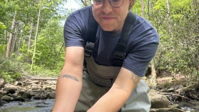 A person in waders standing in a forest creek holds a small eastern hellbender salamander curled in one cupped hand.