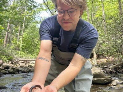 A person in waders standing in a forest creek holds a small eastern hellbender salamander curled in one cupped hand.