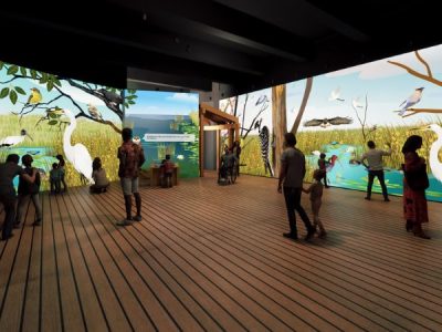Rendering of a gallery where visitors stand on a plank floor surrounded by floor-to-ceiling projected wetland scenes of herons, egrets, sawgrass and open water.