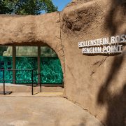 Entrance to the Hollenstein Ross Penguin Point habitat at Philadelphia Zoo, with rockwork, a lettered sign and a glass viewing panel onto a turquoise pool