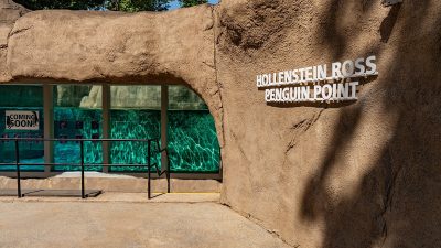 Entrance to the Hollenstein Ross Penguin Point habitat at Philadelphia Zoo, with rockwork, a lettered sign and a glass viewing panel onto a turquoise pool