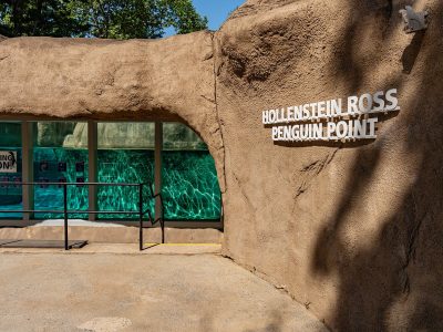 Entrance to the Hollenstein Ross Penguin Point habitat at Philadelphia Zoo, with rockwork, a lettered sign and a glass viewing panel onto a turquoise pool