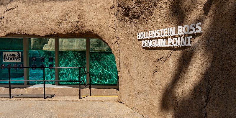 Entrance to the Hollenstein Ross Penguin Point habitat at Philadelphia Zoo, with rockwork, a lettered sign and a glass viewing panel onto a turquoise pool
