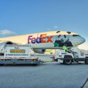 A FedEx Boeing 777 with a giant panda painted across its nose stands on the tarmac at Hartsfield-Jackson International Airport under a clear blue sky, with a white shipping crate marked FedEx and Zoo Atlanta loaded on a wheeled dolly in front of the aircraft and a ground handler driving the tug that is towing it.