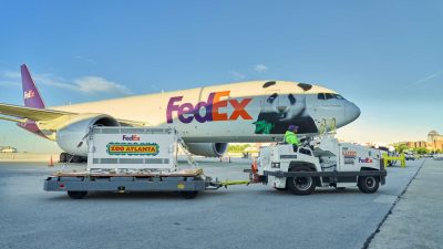 A FedEx Boeing 777 with a giant panda painted across its nose stands on the tarmac at Hartsfield-Jackson International Airport under a clear blue sky, with a white shipping crate marked FedEx and Zoo Atlanta loaded on a wheeled dolly in front of the aircraft and a ground handler driving the tug that is towing it.