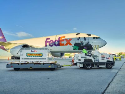 A FedEx Boeing 777 with a giant panda painted across its nose stands on the tarmac at Hartsfield-Jackson International Airport under a clear blue sky, with a white shipping crate marked FedEx and Zoo Atlanta loaded on a wheeled dolly in front of the aircraft and a ground handler driving the tug that is towing it.