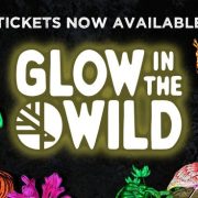 Promotional artwork for Glow in the Wild showing illuminated lantern sculptures of tigers, a giraffe, flamingos and tropical plants against a dark background.