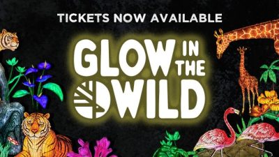 Promotional artwork for Glow in the Wild showing illuminated lantern sculptures of tigers, a giraffe, flamingos and tropical plants against a dark background.