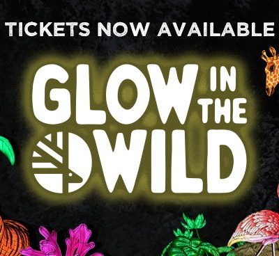 Promotional artwork for Glow in the Wild showing illuminated lantern sculptures of tigers, a giraffe, flamingos and tropical plants against a dark background.