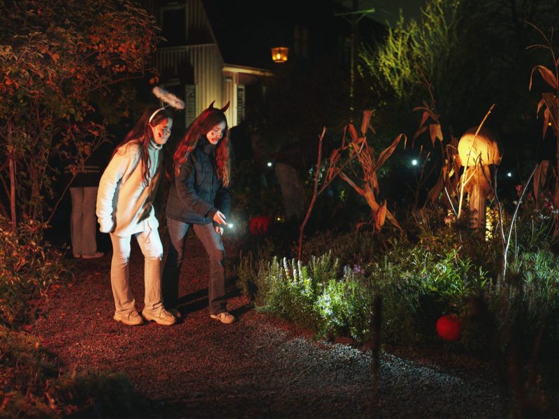 Two children in Halloween headbands walk a gravel path at night with a flashlight, past autumn planting lit from below, dried cornstalks and a carved pumpkin, with a pale wooden house behind them.