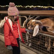 A child in a red winter coat and knit hat reaches through a fence rail to touch the nose of a brown and white goat at night, with strings of holiday lights glowing behind.