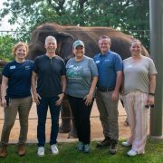 Five members of the Houston Zoo and Baylor College of Medicine EEHV team stand together smiling in front of a cable fence, with two Asian elephants in the sandy yard behind them and large trees overhead.