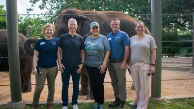 Five members of the Houston Zoo and Baylor College of Medicine EEHV team stand together smiling in front of a cable fence, with two Asian elephants in the sandy yard behind them and large trees overhead.