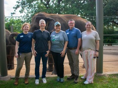 Five members of the Houston Zoo and Baylor College of Medicine EEHV team stand together smiling in front of a cable fence, with two Asian elephants in the sandy yard behind them and large trees overhead.