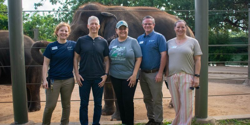 Five members of the Houston Zoo and Baylor College of Medicine EEHV team stand together smiling in front of a cable fence, with two Asian elephants in the sandy yard behind them and large trees overhead.