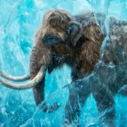 Promotional graphic for Ice Age Invasion showing a woolly mammoth with long curved tusks and shaggy brown hair standing among cracked blue ice