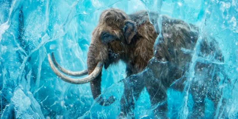 Promotional graphic for Ice Age Invasion showing a woolly mammoth with long curved tusks and shaggy brown hair standing among cracked blue ice
