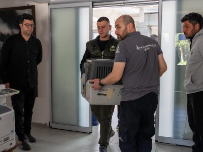 Four men in a clinic corridor, two of them carrying a plastic animal transport crate through a doorway toward a garden outside.