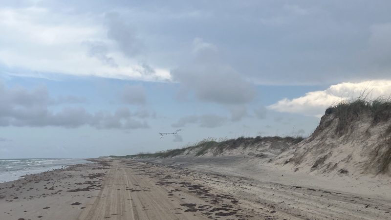 An empty stretch of beach on South Padre Island under a cloudy sky, with surf breaking on the left, eroded grass-topped dunes rising on the right, and a line of pelicans flying low over the sand