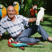 A blue Lear's macaw perched on a branch