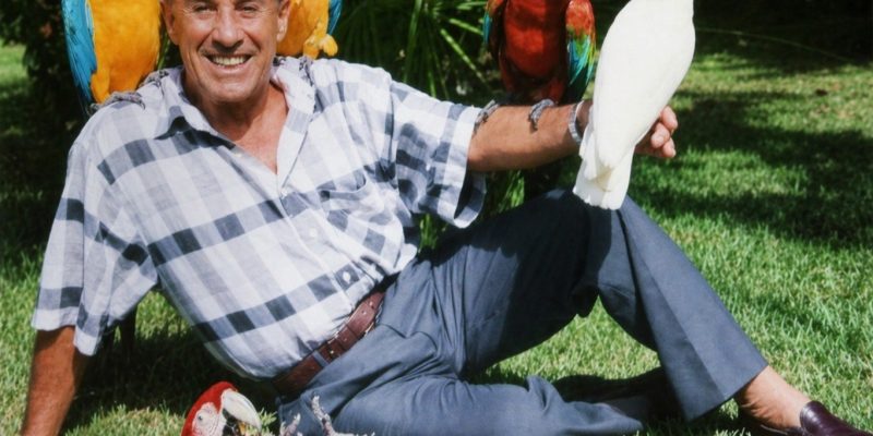 A blue Lear's macaw perched on a branch