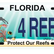 Florida's Protect Our Reefs specialty license plate, showing a reef scene with corals, tropical fish and a diver, and the tag number 4 REEF.