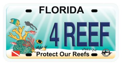 Florida's Protect Our Reefs specialty license plate, showing a reef scene with corals, tropical fish and a diver, and the tag number 4 REEF.
