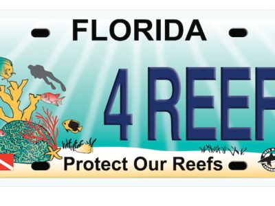 Florida's Protect Our Reefs specialty license plate, showing a reef scene with corals, tropical fish and a diver, and the tag number 4 REEF.