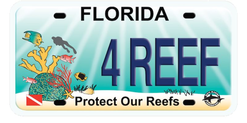 Florida's Protect Our Reefs specialty license plate, showing a reef scene with corals, tropical fish and a diver, and the tag number 4 REEF.