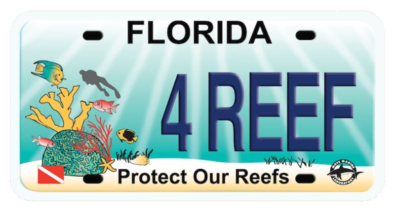 Florida's Protect Our Reefs specialty license plate, showing a reef scene with corals, tropical fish and a diver, and the tag number 4 REEF.