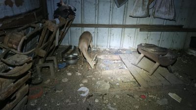 A mountain gazelle stands with her head lowered to the floor of a corrugated metal shed at night, among scattered timber, feed bowls and debris, with poultry roosting on a frame behind her.