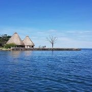 Ngamba Island seen from the water on a clear day, with two large thatched conical roofs above a low stone sea wall, forest running back from the shoreline and the open blue water of Lake Victoria in the foreground.