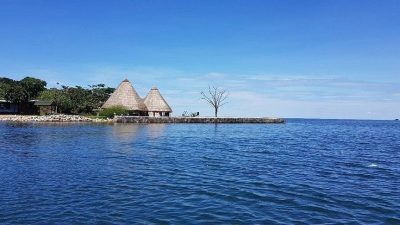 Ngamba Island seen from the water on a clear day, with two large thatched conical roofs above a low stone sea wall, forest running back from the shoreline and the open blue water of Lake Victoria in the foreground.