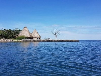 Ngamba Island seen from the water on a clear day, with two large thatched conical roofs above a low stone sea wall, forest running back from the shoreline and the open blue water of Lake Victoria in the foreground.
