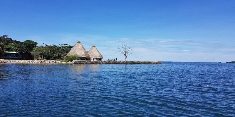Ngamba Island seen from the water on a clear day, with two large thatched conical roofs above a low stone sea wall, forest running back from the shoreline and the open blue water of Lake Victoria in the foreground.
