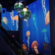 Projected jellyfish drift across the curved walls of an aquarium lobby, with spherical fish tanks hanging above an escalator.