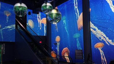 Projected jellyfish drift across the curved walls of an aquarium lobby, with spherical fish tanks hanging above an escalator.